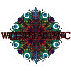 Hot Widespread Panic Snowflake Sticker Widespread Panic